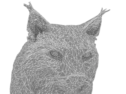Lynx 3D Model
