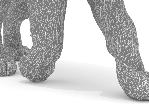 Lynx 3D Model