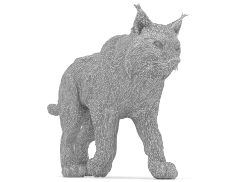 Lynx 3D Model