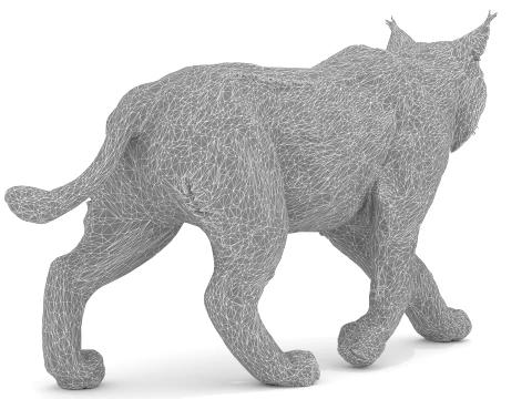 Lynx 3D Model