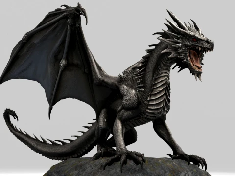 Black Dragon 3D Model
