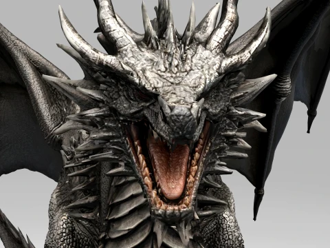 Black Dragon 3D Model
