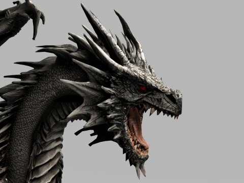 Black Dragon 3D Model