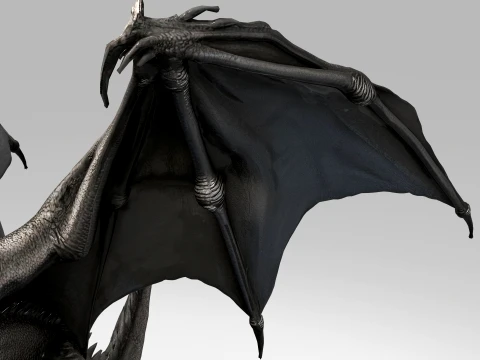 Black Dragon 3D Model