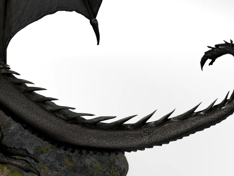 Black Dragon 3D Model