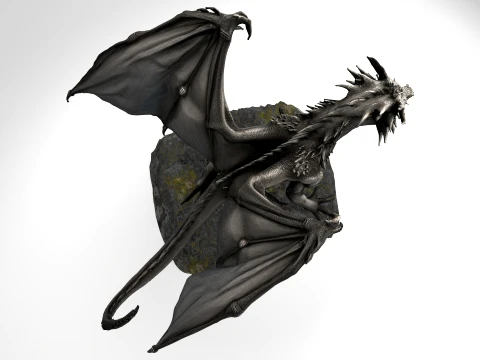 Black Dragon 3D Model