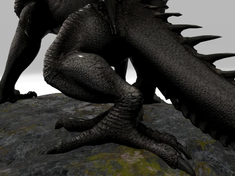 Black Dragon 3D Model
