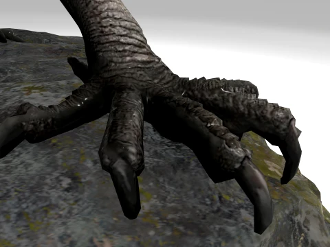 Black Dragon 3D Model