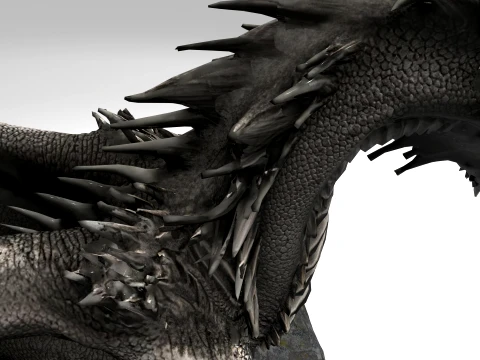 Black Dragon 3D Model