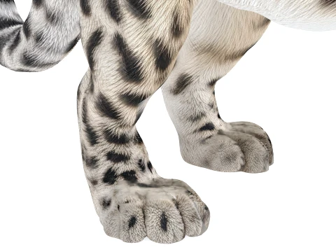 Snow Leopard 3D Model
