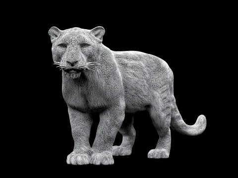 Snow Leopard 3D Model