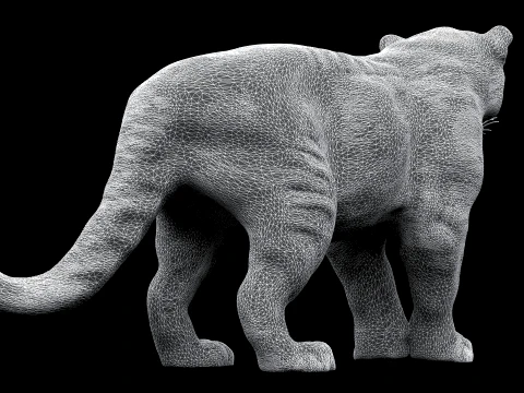 Snow Leopard 3D Model