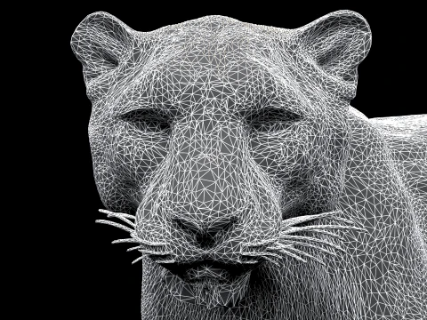 Snow Leopard 3D Model