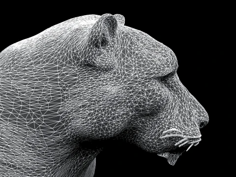 Snow Leopard 3D Model