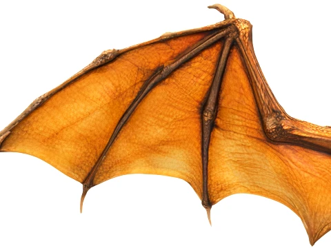 Desert Dragon 3D Model