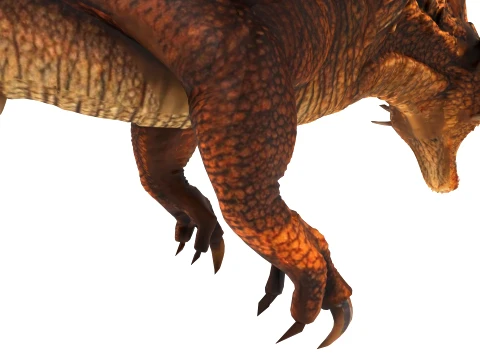 Desert Dragon 3D Model