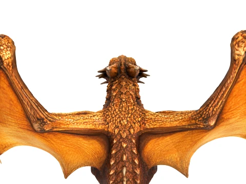 Desert Dragon 3D Model