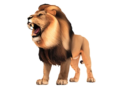 Lion 3D Model