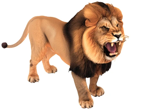 Lion 3D Model