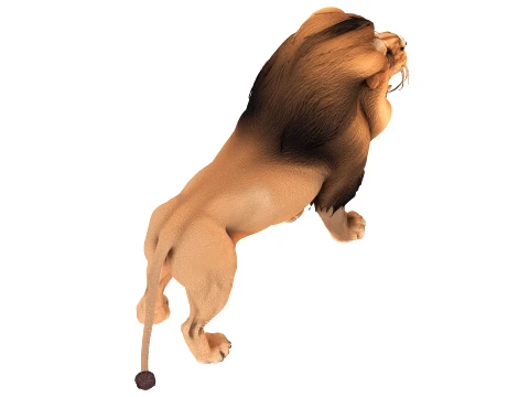 Lion 3D Model