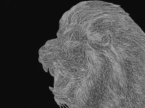 Lion 3D Model