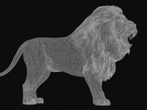 Lion 3D Model