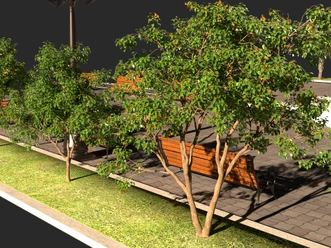 Dolphin Park 3D Model