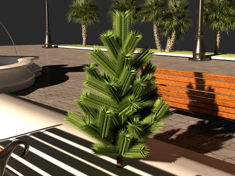 Dolphin Park 3D Model