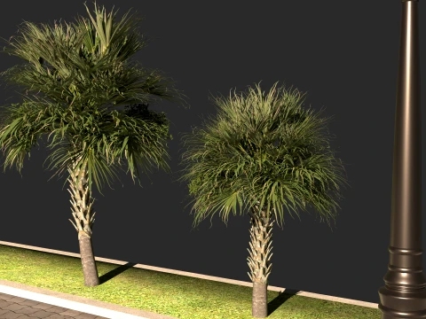 Dolphin Park 3D Model