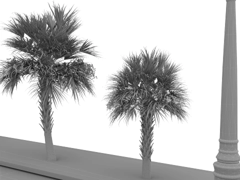 Dolphin Park 3D Model