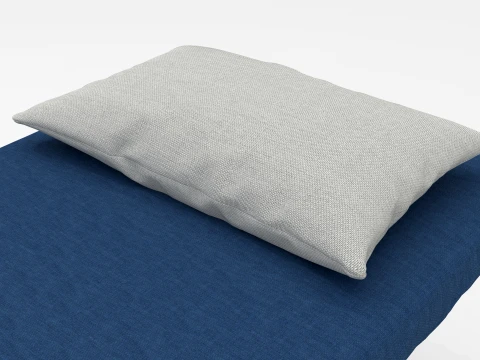 Health Check 3D Model