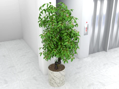 Hospital Lobby 3D Model