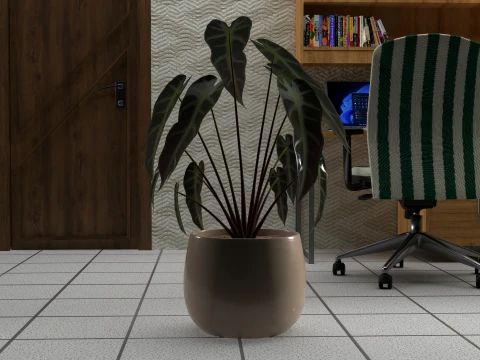 Teenager Room 3D Model