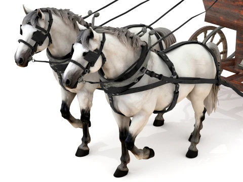 Stage Wagon 3D Model