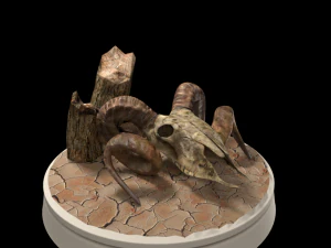череп барана 3D Модель
