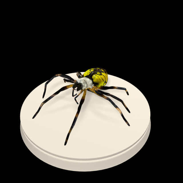 spider Modelo 3D .c4d .max .obj .3ds .fbx .stl .blend 