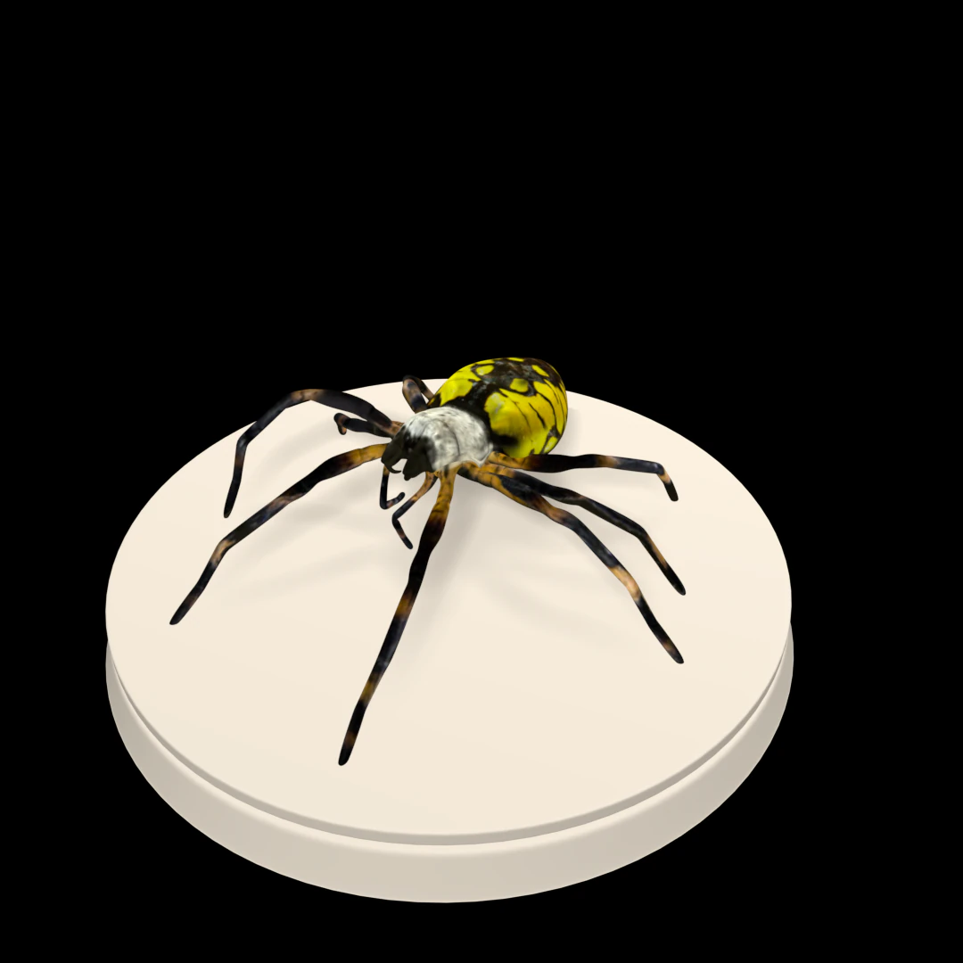 ara&ntilde;a Modelo 3D .c4d .max .obj .3ds .fbx .stl .blend 