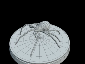 ara&ntilde;a Modelo 3D