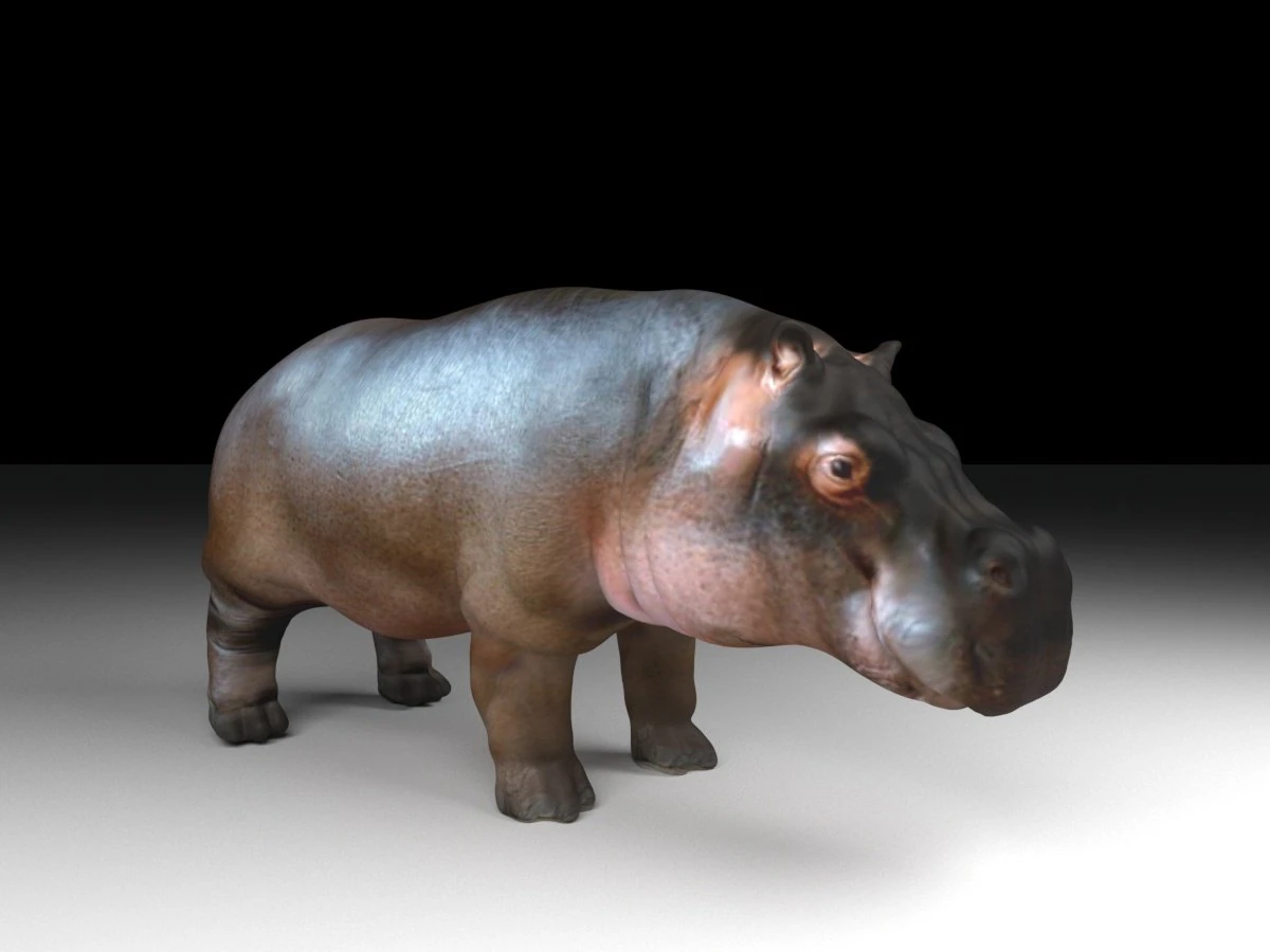 hippopotamus 3D Model .c4d .max .obj .3ds .fbx .stl .blend