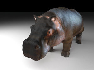 hippopotamus Modello 3D
