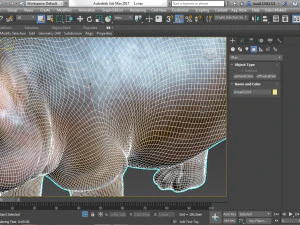 hippopotamus 3D Model