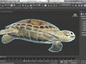 turtle 3D Model