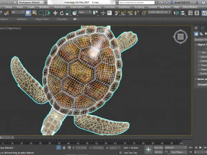 turtle 3D Model