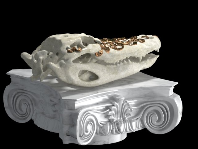 alligator skull 3D Model .c4d .max .obj .3ds .fbx .stl .blend 