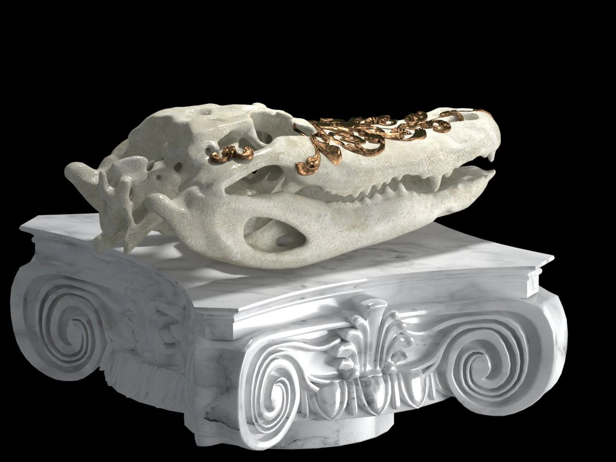 alligator skull 3D Model .c4d .max .obj .3ds .fbx .stl .blend 