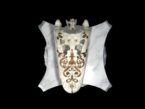 alligator skull 3D Model