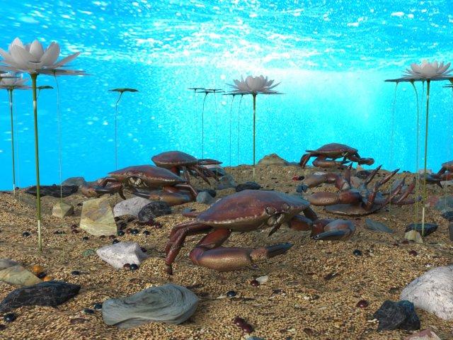 crab in an aquarium 3D Model .c4d .max .obj .3ds .fbx .stl .blend 