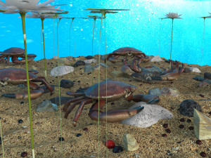 crab in an aquarium 3D Model