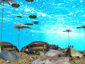 crab in an aquarium 3D Model