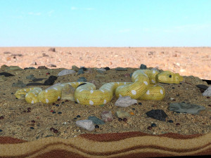 snake in the desert 3D Модель